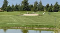 Golfové hřiště obsadili nezvaní návštěvníci. Podle hráčů jde o příjemné rozptýlení