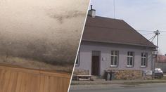 Plíseň zamořila ženě už druhý obecní byt! "Já bych tam nežila," říká radní