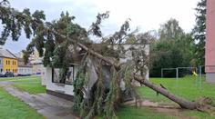 V Česku řádí silný vítr. Meteorologové vydali výstrahu pro tři kraje