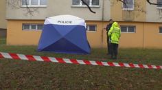 Muž se zabarikádoval v bytě, kde vystřelil na ženu. Pak skočil z okna