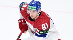 Kubalíkovo zranění? Zamrazilo nám, říká lékař. Mohl by vynechat zápas