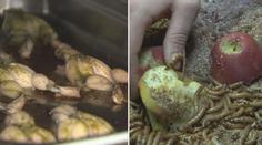 Jací jsou Češi jedlíci? Průzkumy zodpověděly odvěkou otázku