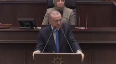 V Turecku hrozí velké hubení psů. Za kontroverzním zákonem stojí Erdogan