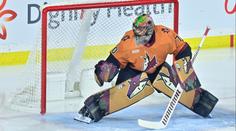 NHL se vrací na obrazovky Nova Sport. Poprvé se bude hrát v Austrálii