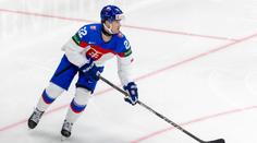 Vítkovice ulovily velkou rybu. Ze zámoří přichází slovenský reprezentant