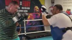 Návrat ve velkém stylu! Andy Ruiz Jr. dostal nabídku na titul WBA