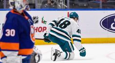 Skvělý pocit, ještě zlepšit obranu, říká Hertl po hattricku a velkém obratu