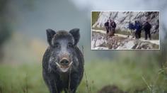 Otřesné VIDEO: Turisté shodili ze skály zraněného divočáka