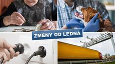 Vyšší mzdy, čipování psů i mýto. Co všechno je od Nového roku jinak?
