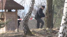 Tragická smrt: Muž kácel stromy, poslední mu zabil manželku!