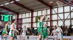 První brněnské derby v ŽBL, Žabiny hostí rivalky z KP. Živě na Nova Sport