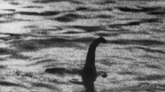 ŠOK! Lochnesská příšera je po smrti! Tělo našli na břehu jezera