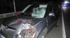 Černá sobota na jihu Čech: Zemřel motorkář (37) i chodkyně (27)!