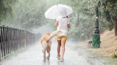 Na Česko udeří první bouřky, varují meteorologové. Žene se i saharský prach