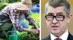 Lidé mohou kdykoliv přijít o své zahrádky. Babiš jim chce pomoct