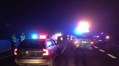Drama na R6: Autobus rozmetal stádo divočáků, 7 jich zabil