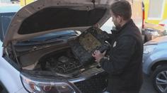 Pozor na kuny v motoru auta. Oprava vás může vyjít draho