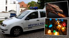 Mladík se žárovkami kolem krku šokoval strážníky: Venčím draka!