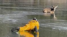 Srnka omylem vběhla na zamrzlé jezero. Bezmocné zvíře zachránili hasiči