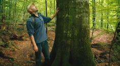 Prehistorické lesy na Ukrajině jsou inspirací v boji se změnou klimatu