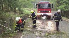 Polámané stromy, zatopené sklepy. Hasiči kvůli větru hlásí stovky zásahů
