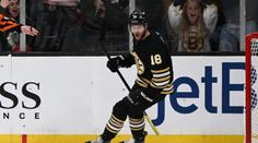Skvělý týden pro Pavla Zachu. Český útočník byl vyhlášen druhou hvězdou NHL