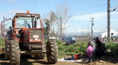 Uprchlíci zabrali farmáři jeho pole! Sedl do traktoru a vyřešil to