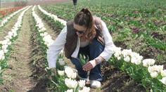 Začíná sezóna samosběrů. Kromě ovoce lze sbírat i květiny a zájem je enormní