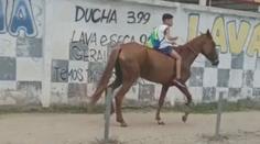 Žádné auto nebo autobus. Chlapec vyrazil do školy na koni
