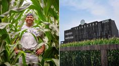 Scény hollywoodského filmu: Giganti MLB si to rozdali na kukuřičném poli