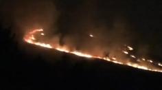 VIDEO: Kopec v Praze zachvátil velký požár! Chytil od rachejtlí