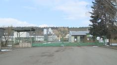 Vepřín v Letech skončil. Na jatka odvezli poslední prasata