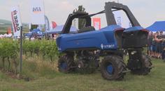 Dřinu a pot nahrazuje technika. Vinaři na Moravě testují robota