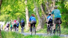 Vlastníci lesů hrozí, že uzavřou cesty pro cyklisty. Mohou za to nová pravidla