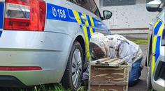 Překvapení pro policisty v Mostě: Během zásahu jim auto obsadil roj včel