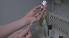 Očkování v Česku nabírá zpoždění, mezi lidmi je o něj malý zájem