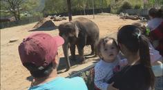 Problémová zoo doufá v návrat do evropské asociace. Rozhodnutí padne v září