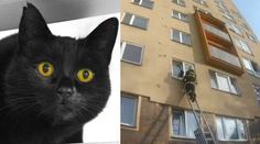 Kočka se zasekla v otevřené ventilaci. Vysvobodili ji hasiči