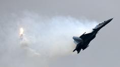 Letecká nehoda ve Švédsku! Gripen poslalo k zemi hejno ptáků
