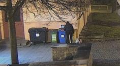 Z několika popelnic zbyly jen ohořelé zbytky. Podpalovat je měl žhář z Polska