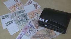 Ochranka chytla třicetkrát soudně trestaného. Podle policie opět kradl