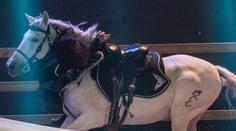 Cossack Vaulting Team přiveze do Prahy jedinečnou akrobaticko-koňskou podívanou