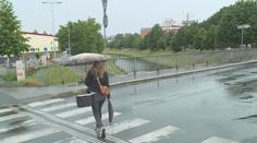 Zahrádkáři a lesníci volali po dešti. Přání se splnilo, Českem se prohnaly srážky