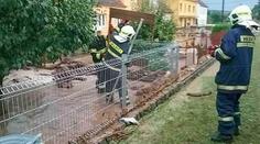 Hasiči po bouřce uklízeli spadlé stromy i bahno ze silnic