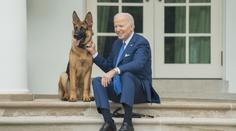 Pozor, zlý pes. Bidenovi se loučí s milovaným mazlíčkem