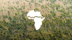 Africké země se spojily. Přes 20 z nich tvoří Velkou zelenou zeď
