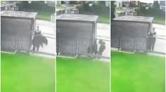Policie dopadla nešiku, který prý chtěl ukrást psa. Ten se vrátil domů. VIDEO