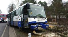 Řidič dostal infarkt, autobus trefil strom! Cestující jsou zranění