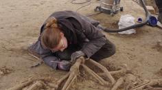 Archeologové objevily hromadný hrob. Dle odborníků jde o první objev svého druhu