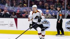 Dva čeští mladíci na farmě zaujali, dostali pozvánku do NHL